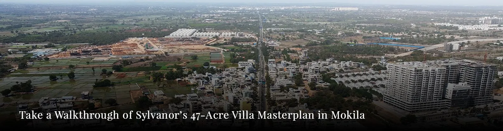 Green Living Real Estate