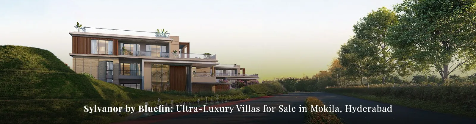 Green Living Real Estate